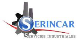 Serincar logo